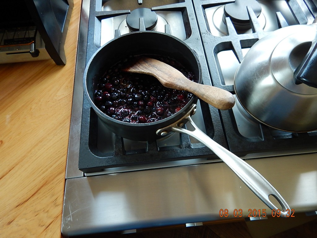 My blueberry compote. Next time, double the cayenne.