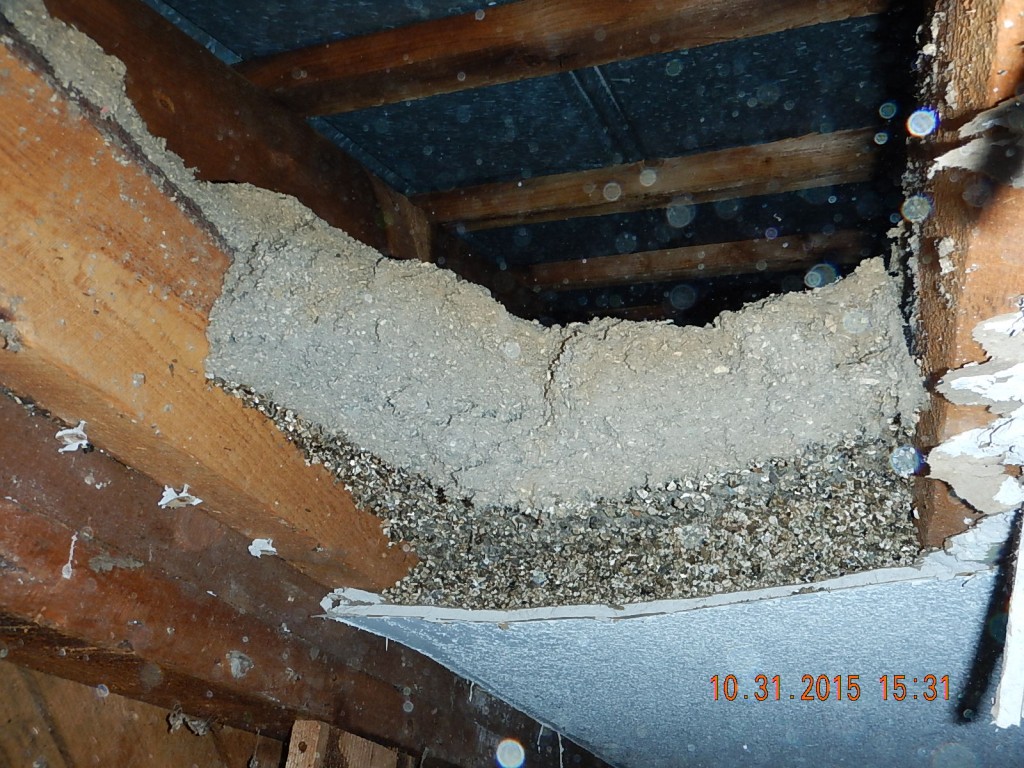 Above the ceiling was 1 1/2" of perlite plus about 4" of cellulose. A lot of it was wet.