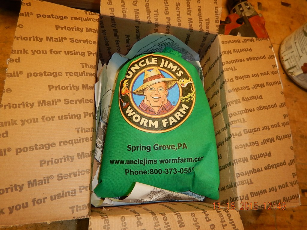 Hoorah! My worms came in the mail, and I found the package before they froze.