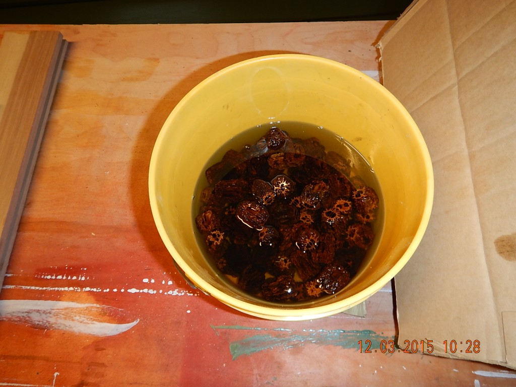 Soaking a batch of butternut beads. A 3:1 dilution seemed to work best.