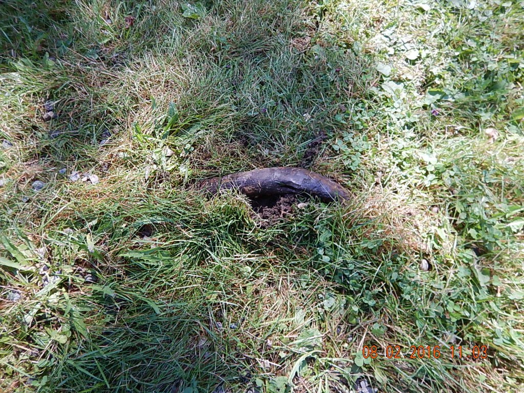 I've got a feeling someone tried pulling this pipe out of the ground just like I did, failed just like I did, and left this section sticking up thru the lawn. 