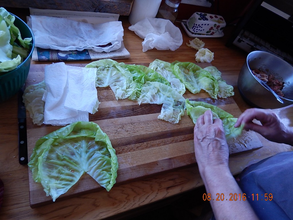 The reason cabbage rolls never caught on in America is that they're a LOT of work.