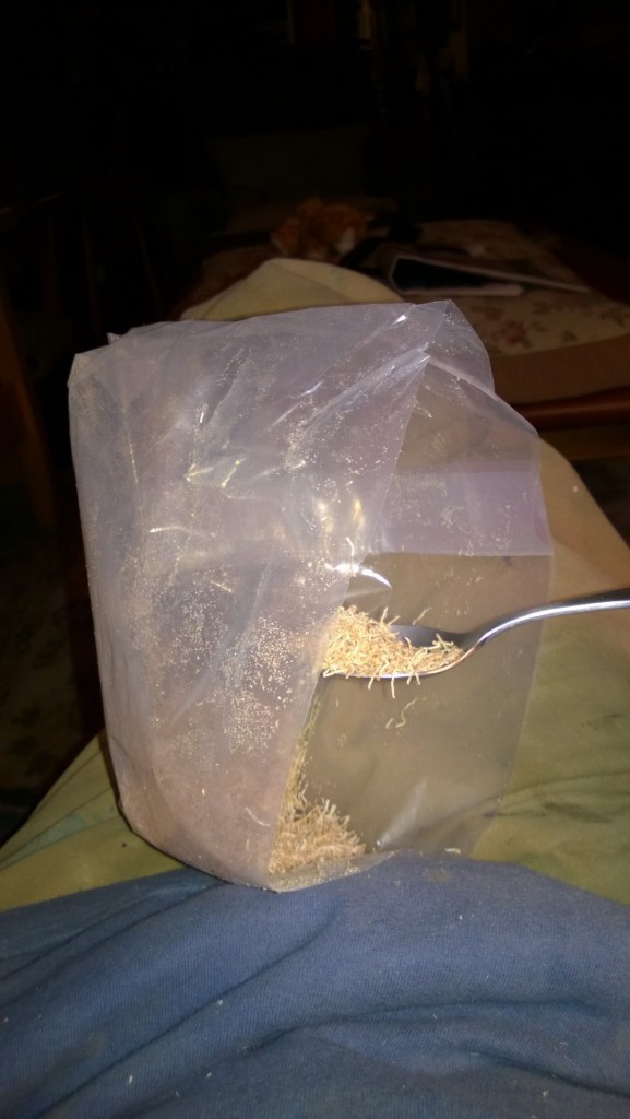 I got down to the dregs of a bag of shredded wheat and I found that .... If you hold a spoonful of crumbs, in a spoon, in the bag, in your lap, in a chair in winter, the static electricity builds up and shredded wheat projectiles fly off in all directions until the spoon is empty. 