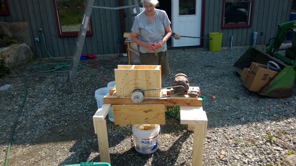 Mary dropping apples into the mill.  It is a fearsome brute (the mill, not Mary) which pulverizes apples instantly - when it doesn't launch them back at you.  The pulp is pretty coarse, and it tends to spew onto the ground instead of into the bucket, but I've since tweaked the design...