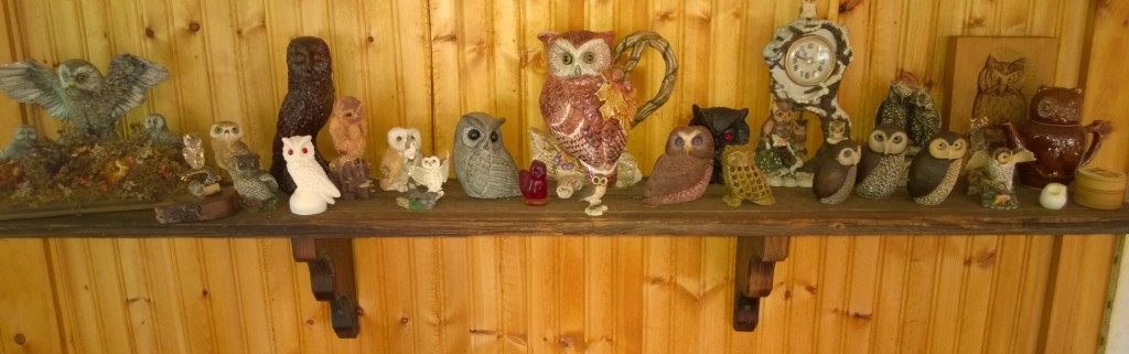 If you like owls, this was the place to be, as the lady of the house collected anything and everything shaped like an owl.  Figurines, clocks, posters, calendars, salt shakers, refrigerator magnets, snuff boxes, christmas ornaments -- you name it.  But NOT, unaccountably, record albums by The Owls.